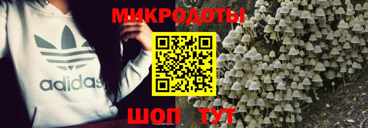 купить наркотик  Псилоцибиновые грибы Cubensis  Вход с VPN  Галлюциногенные грибы Psilocybine cubensis  Лесной 